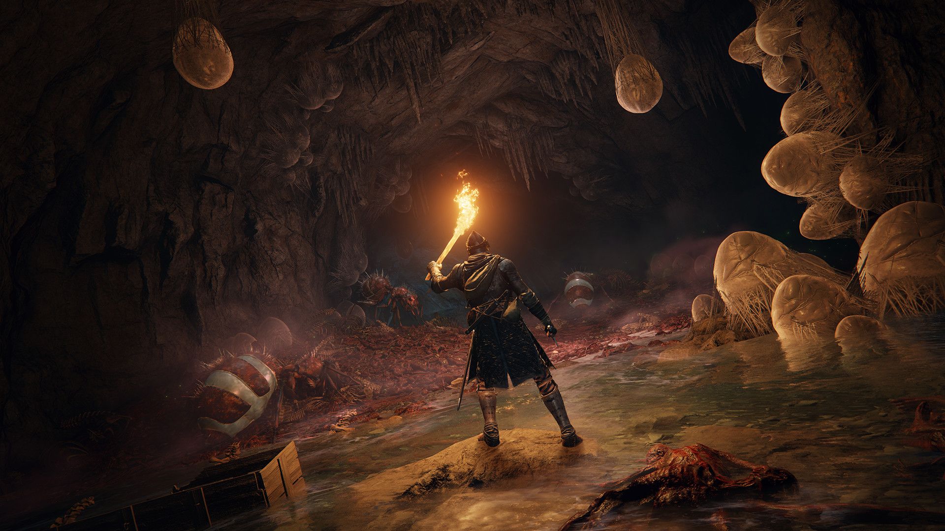 Elden Ring New Gameplay Breakdown &amp; Impressions, New Mechanics Revealed
