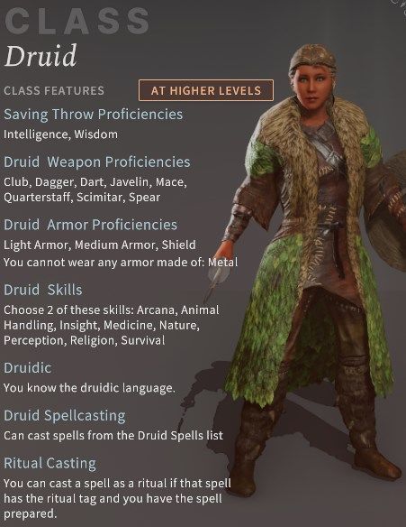 Druid Class Solasta Primal Calling DLC Overview Impressions