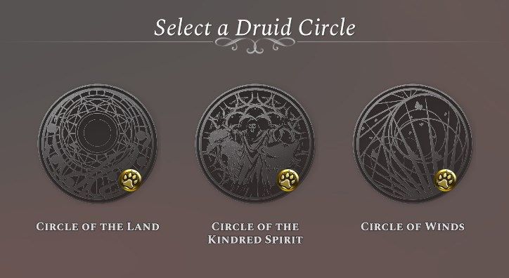 Druid Subclasses Solasta Primal Calling DLC Overview Impressions