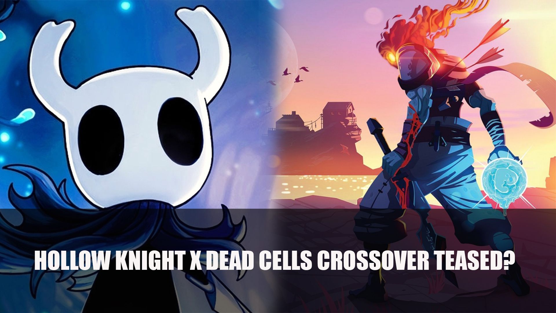 Hollow Knight x Dead Cells Crossover Teased