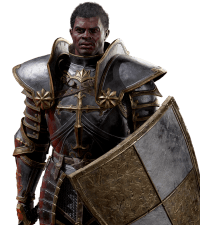 Diablo 2 Paladin Class