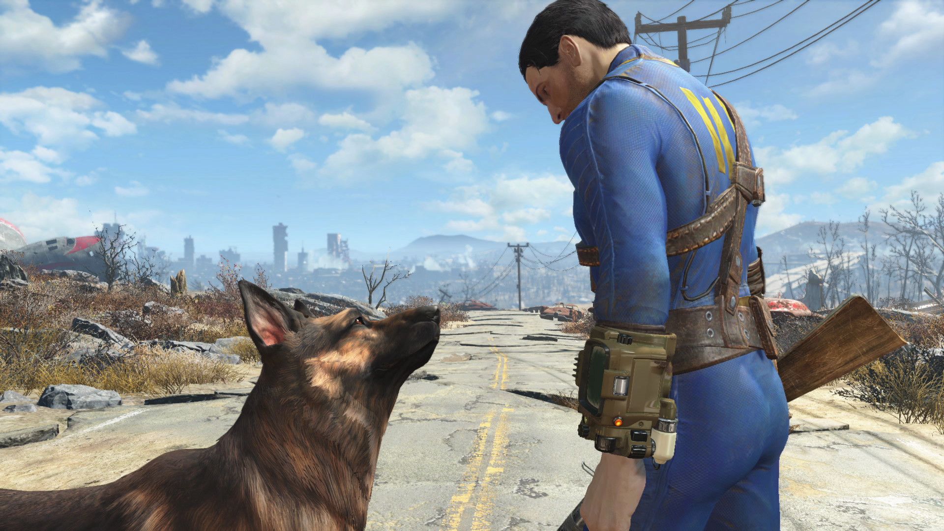 Dogmeat