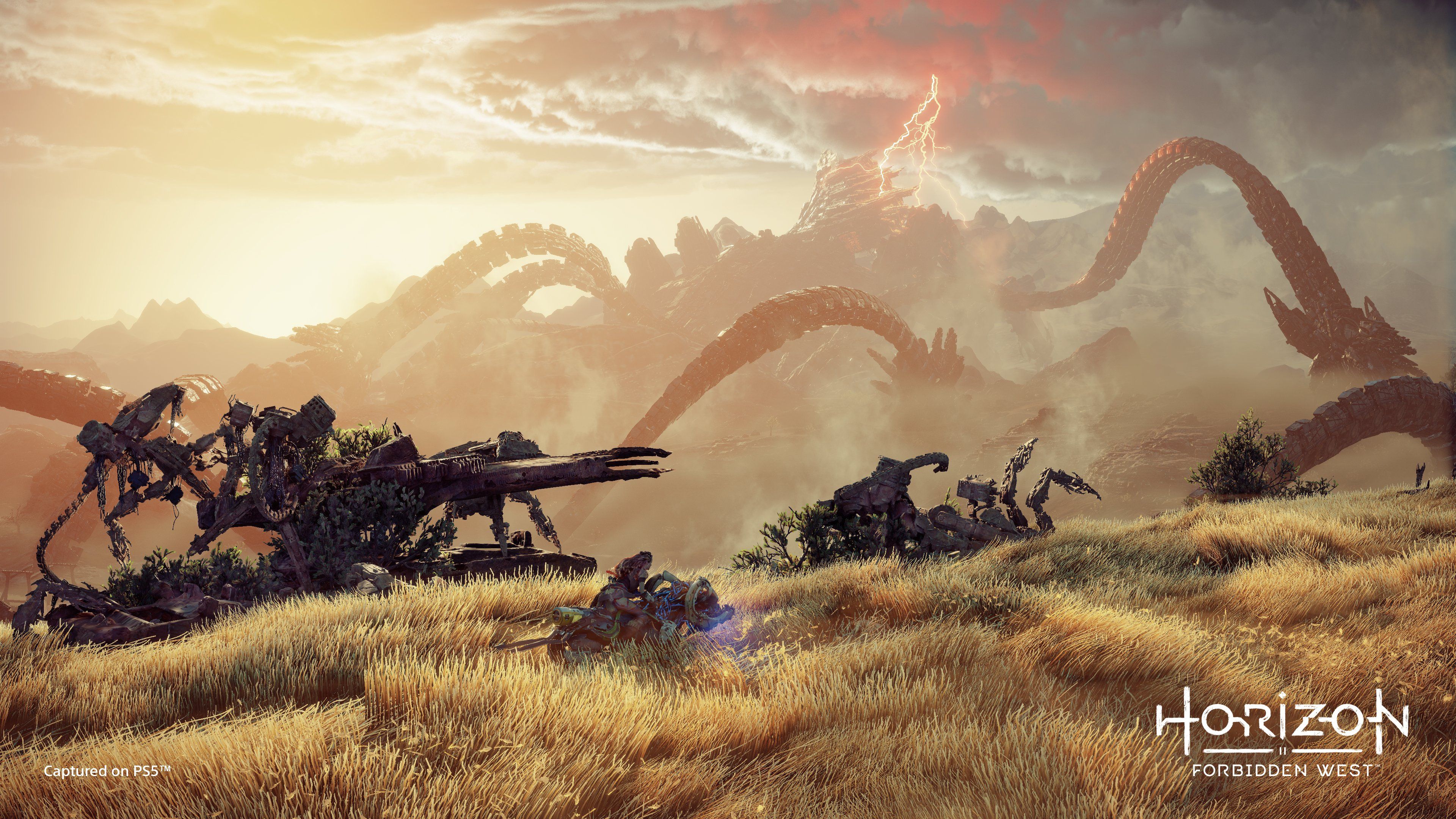 Explore New Lands