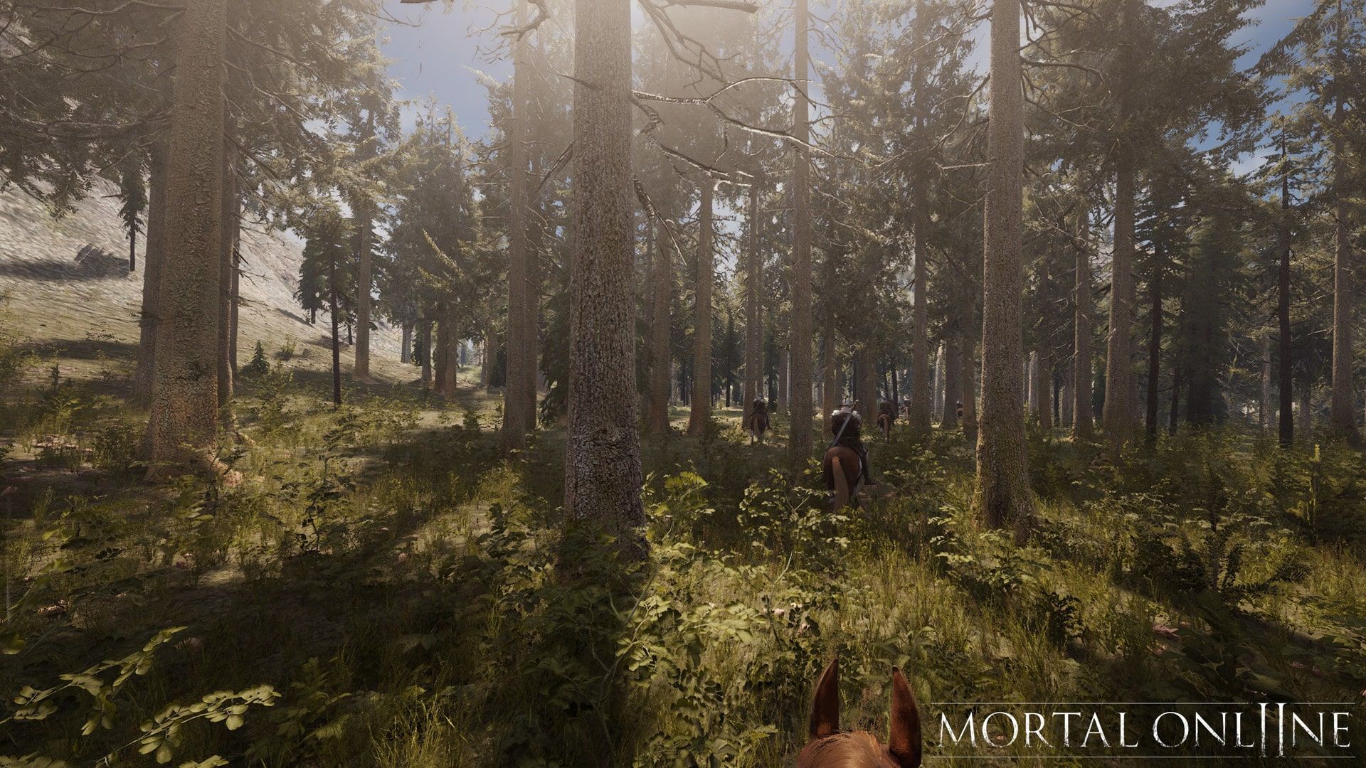 Explore the Wilderness