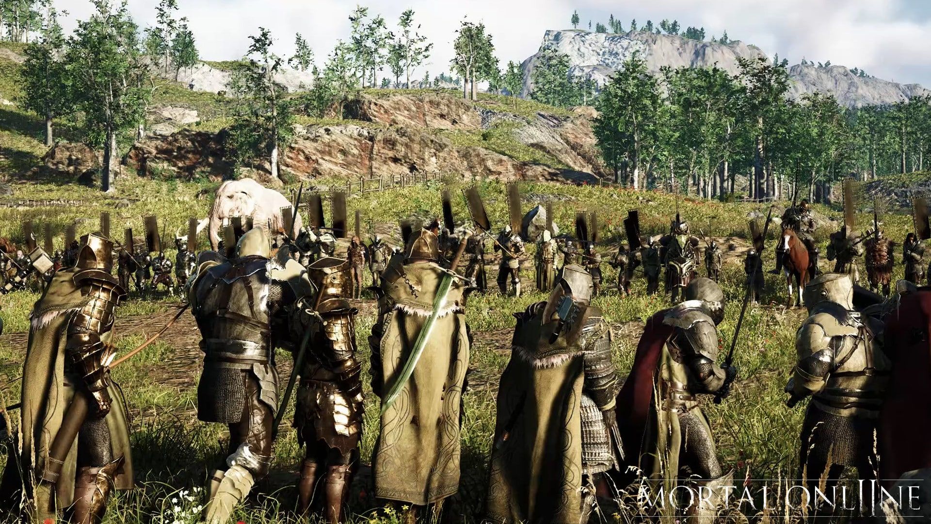 Large Scale Battles