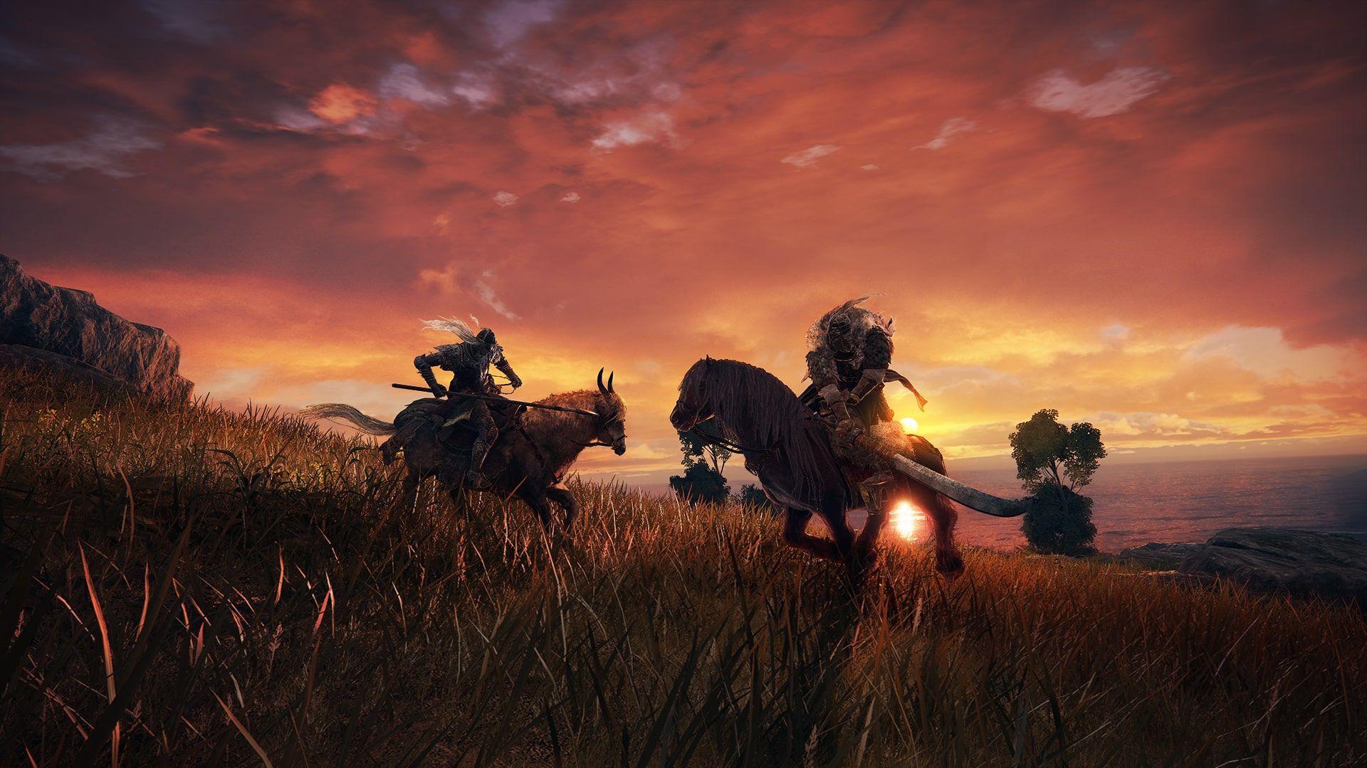 Mounted Combat