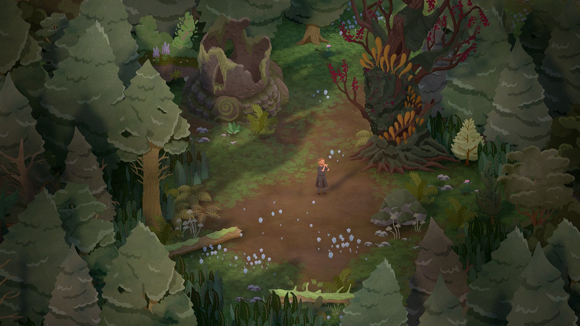 The Magical Forest
