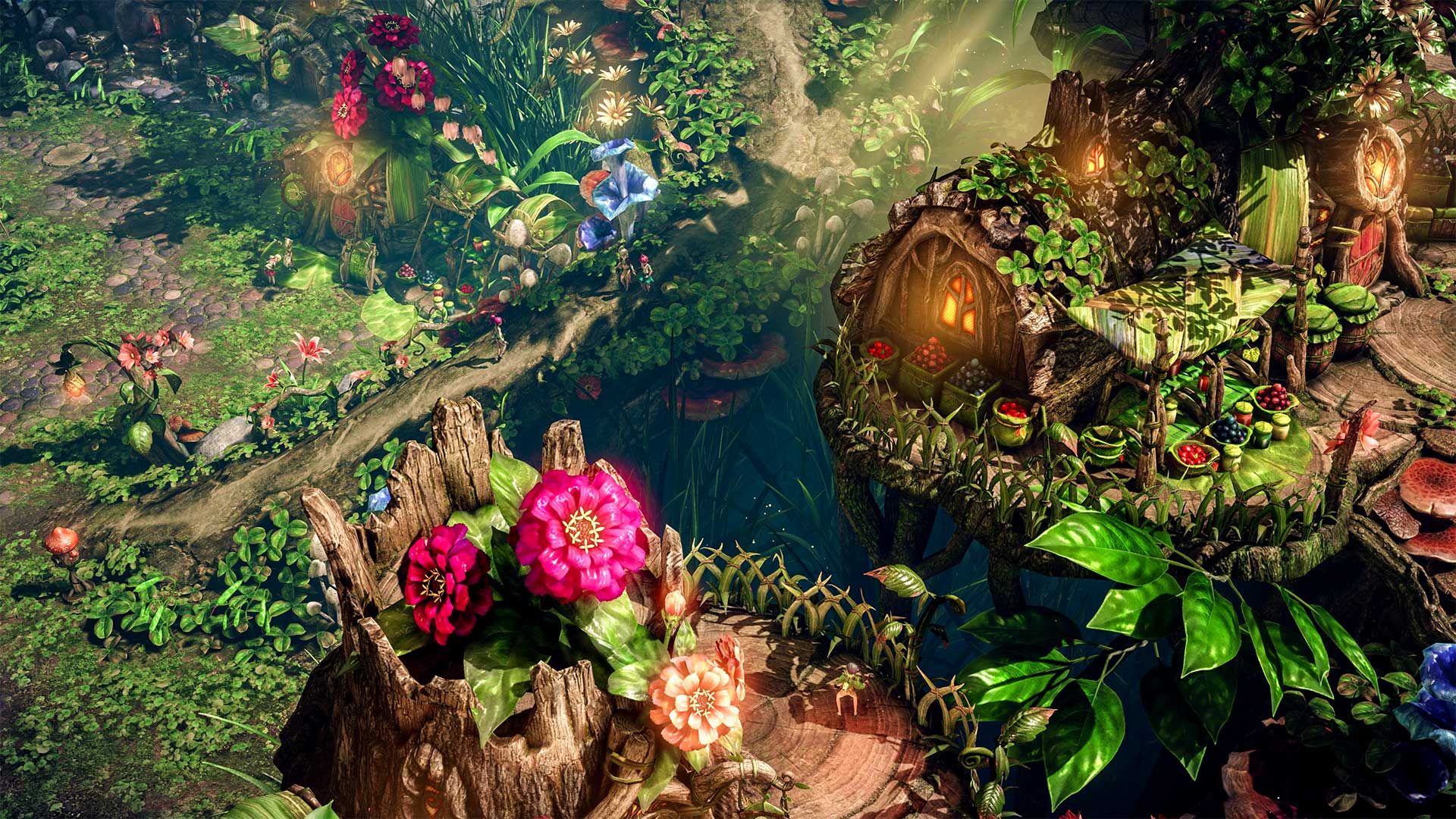 Tortoyk