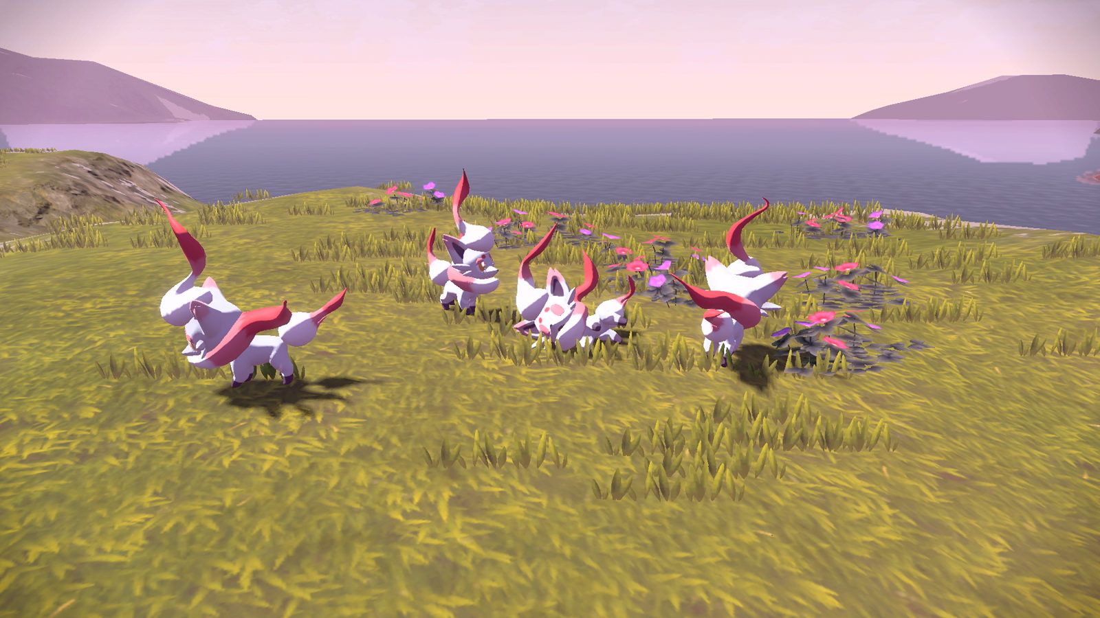 Daybreak Outbreak