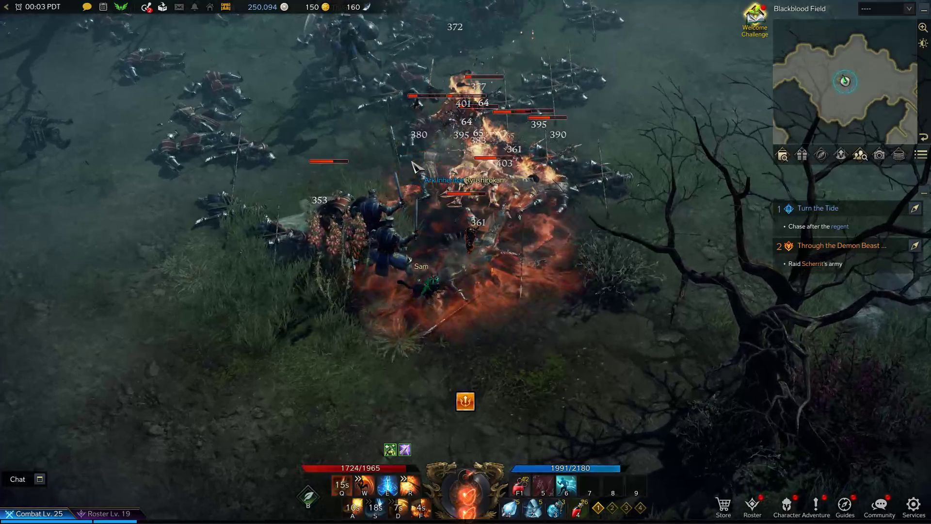 Lost Ark Berserk Circle Skill in Combat