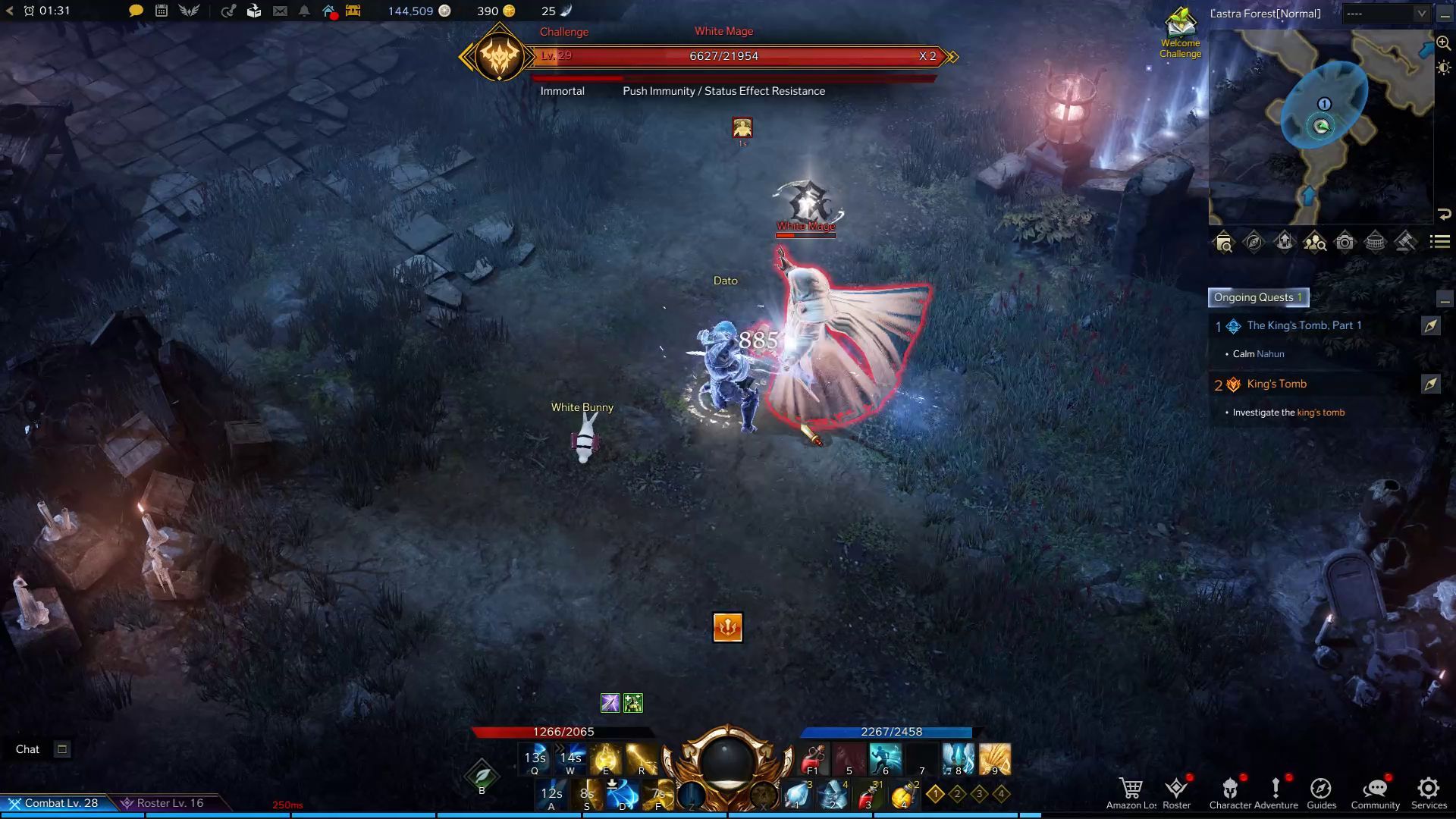 Paladin Advanced Class Charge Skill in Combat