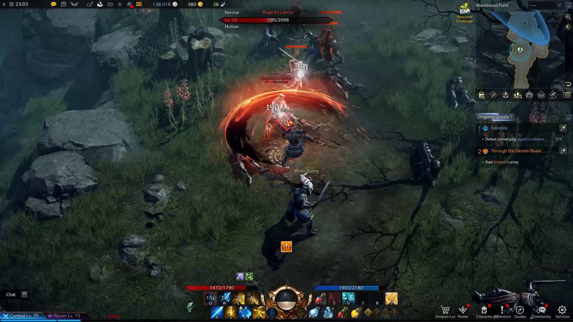 Paladin Advanced Class Punishment Skill in Combat