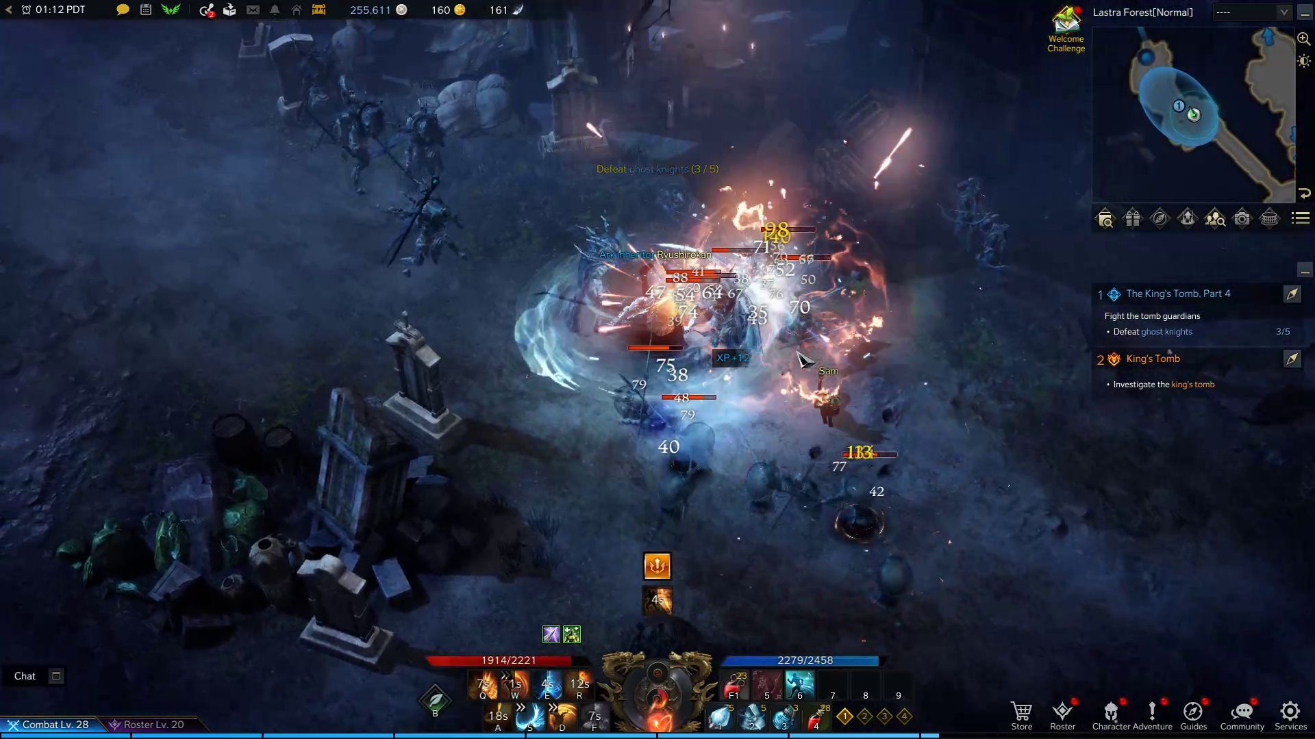 Lost Ark Striker Melee DPS Martial Artist Class in Combat