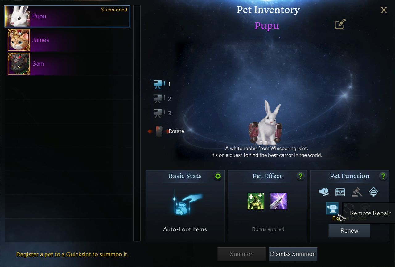 Lost Ark Store Pet Function