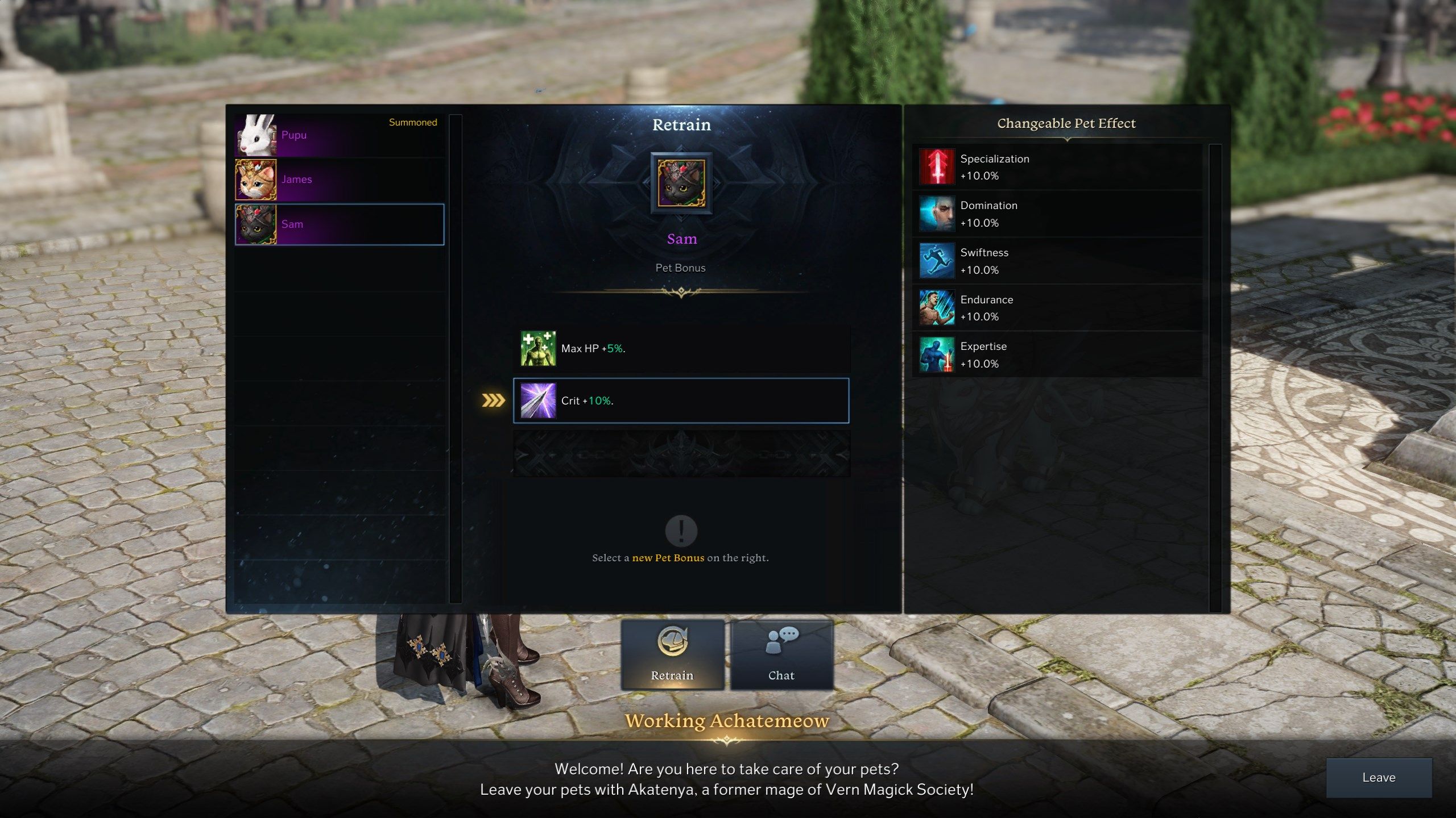 Lost Ark Store Working Achatemeow [Pet Management] NPC