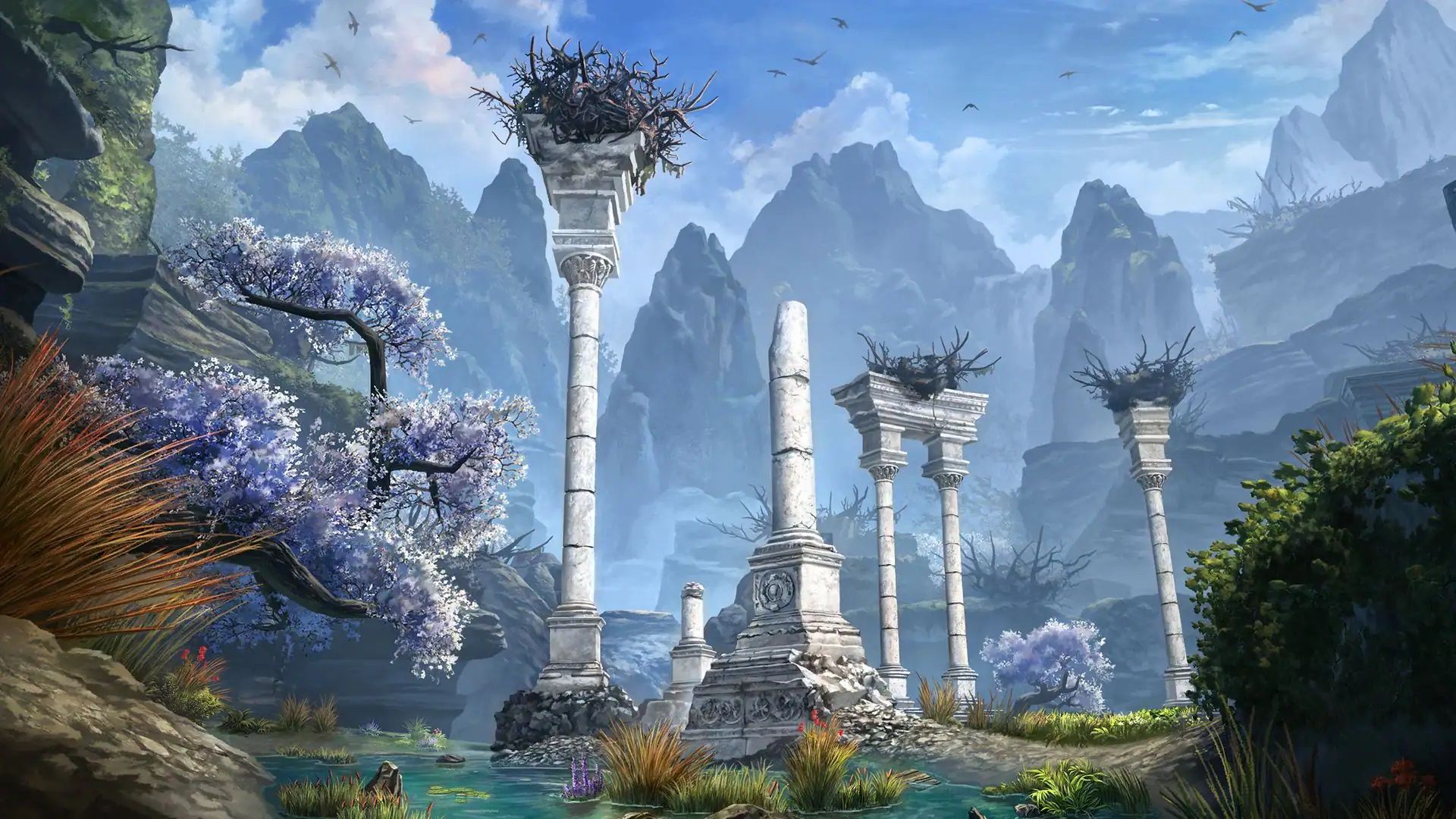 The Coral Aerie