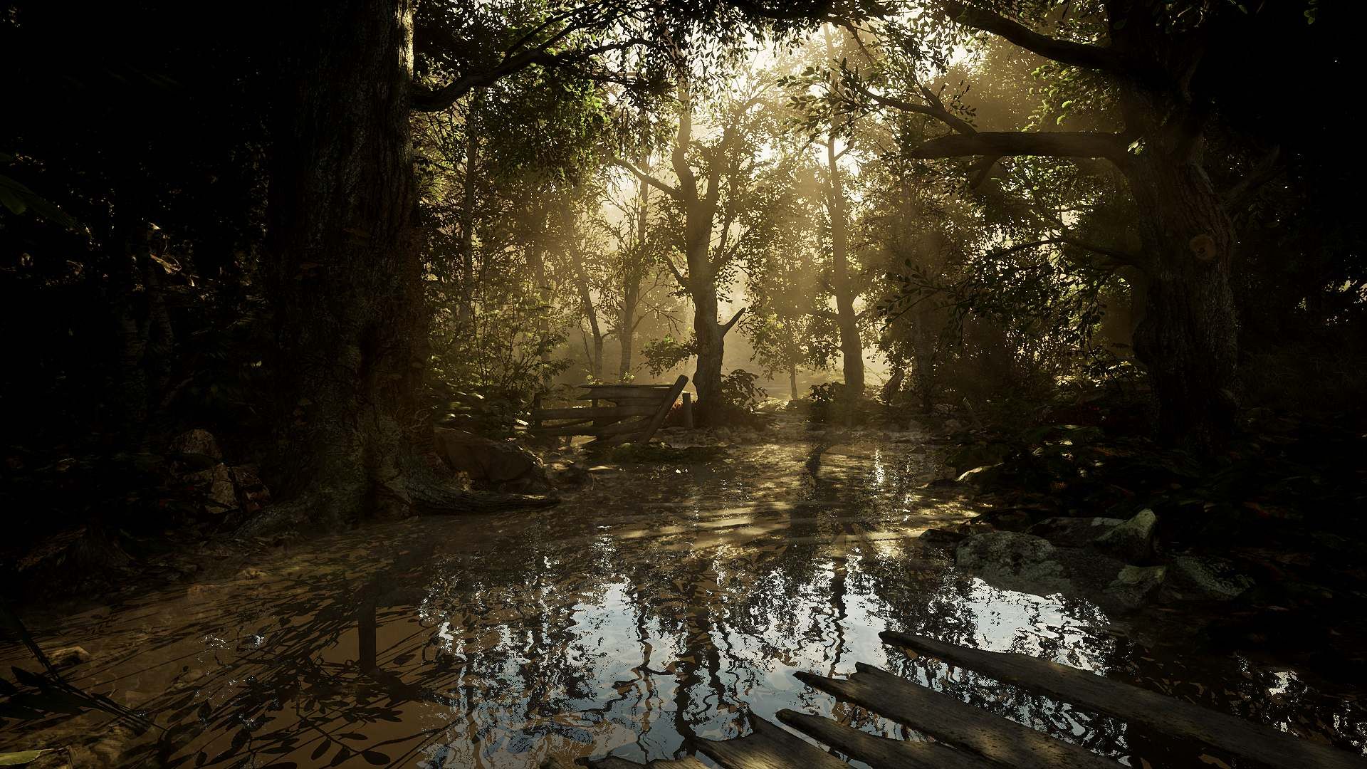 RTX Graphics
