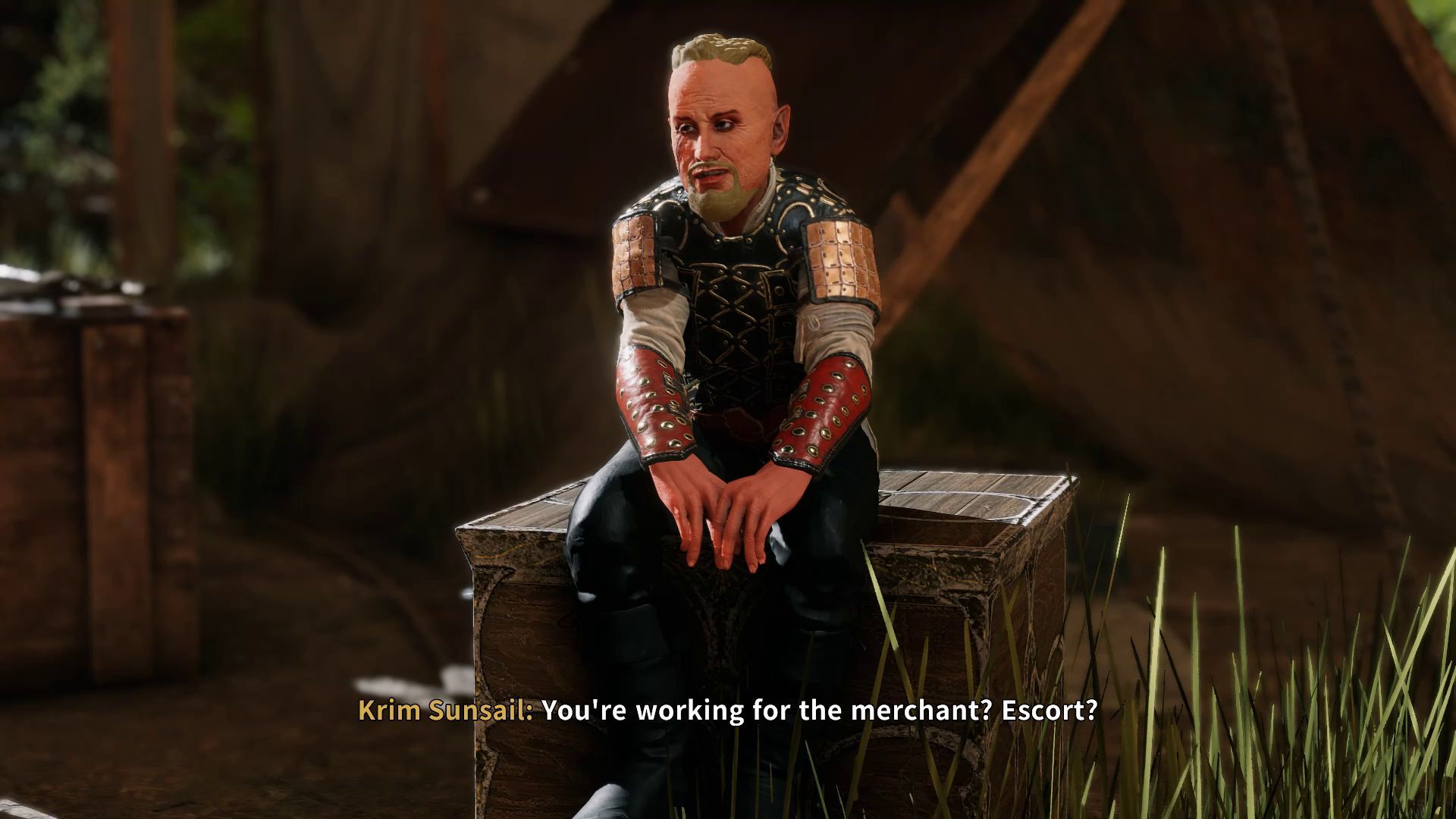 Solasta Lost Valley DLC Companions