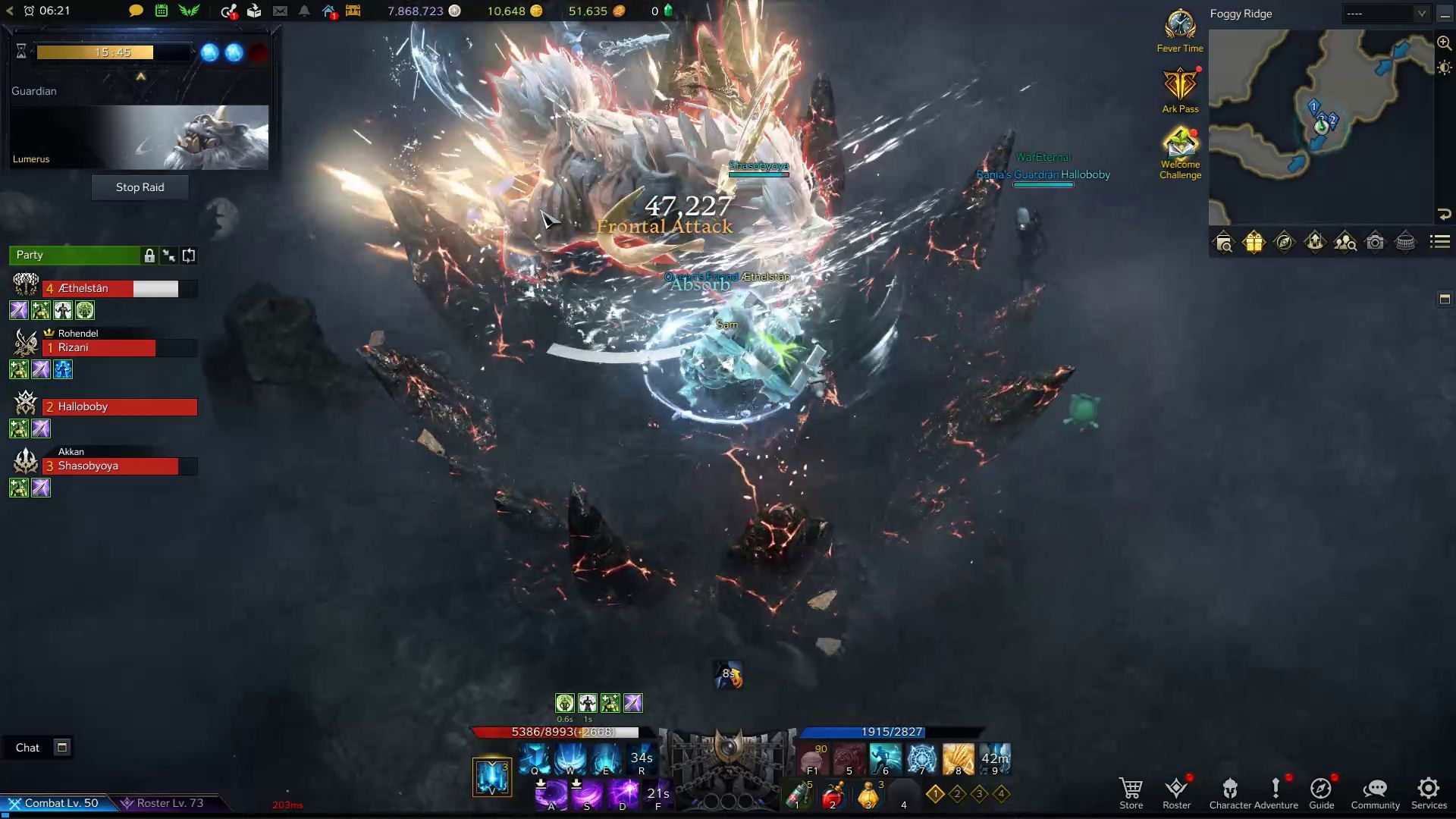 Lost Ark Destroyer Guardian Raid Combat