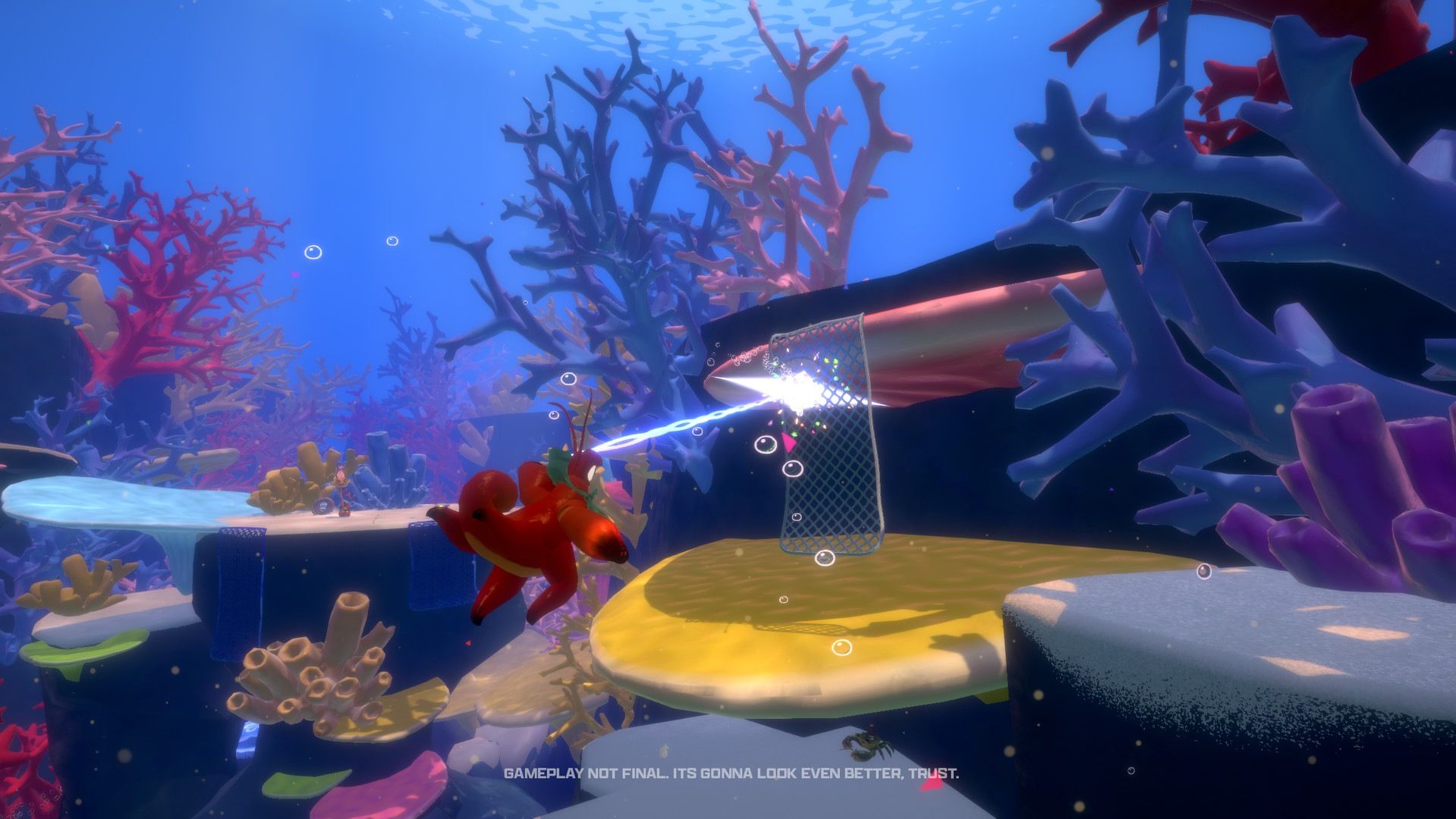 The Coral Reefs