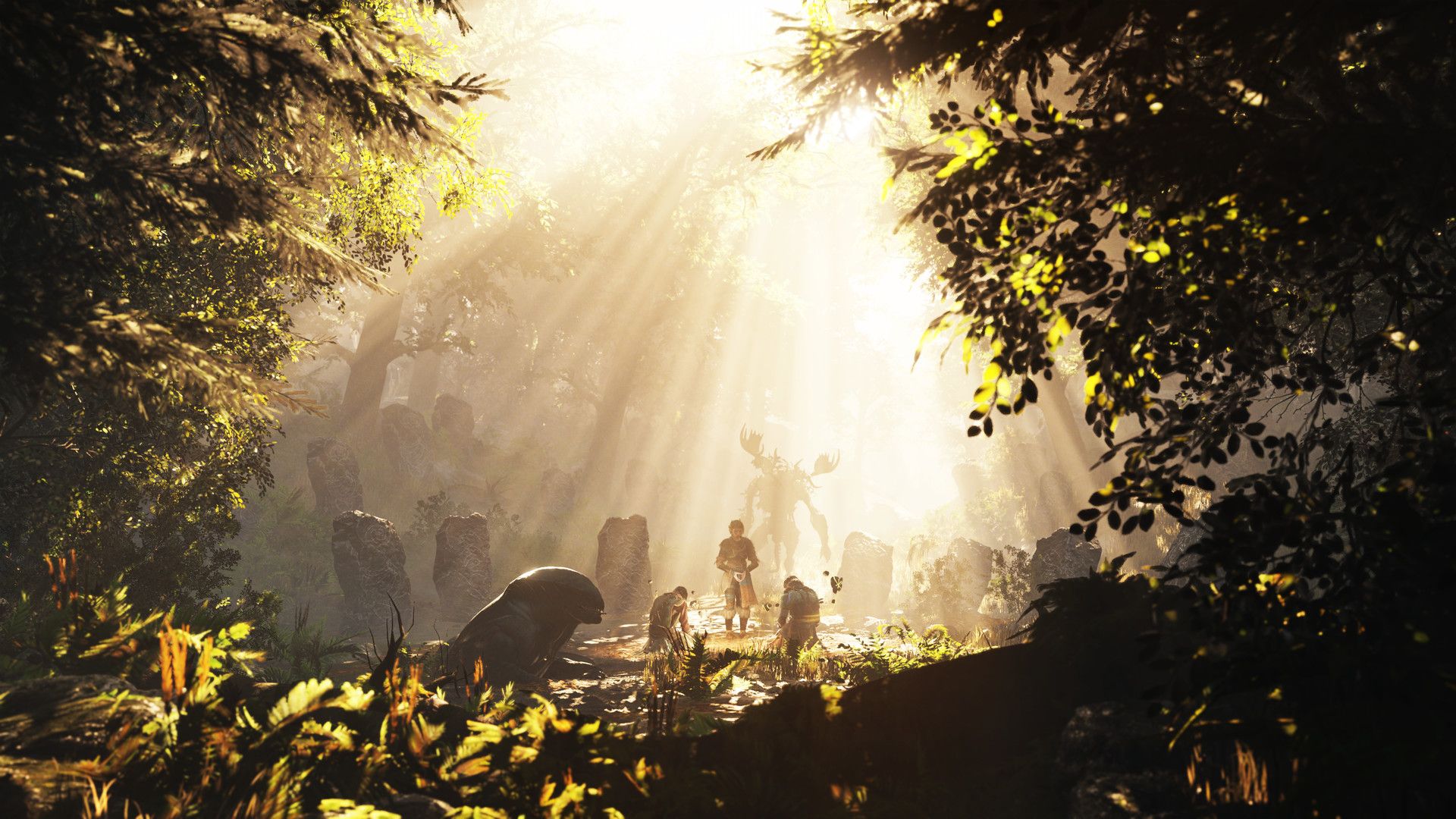 Visit the Mystical Lands of Gacane