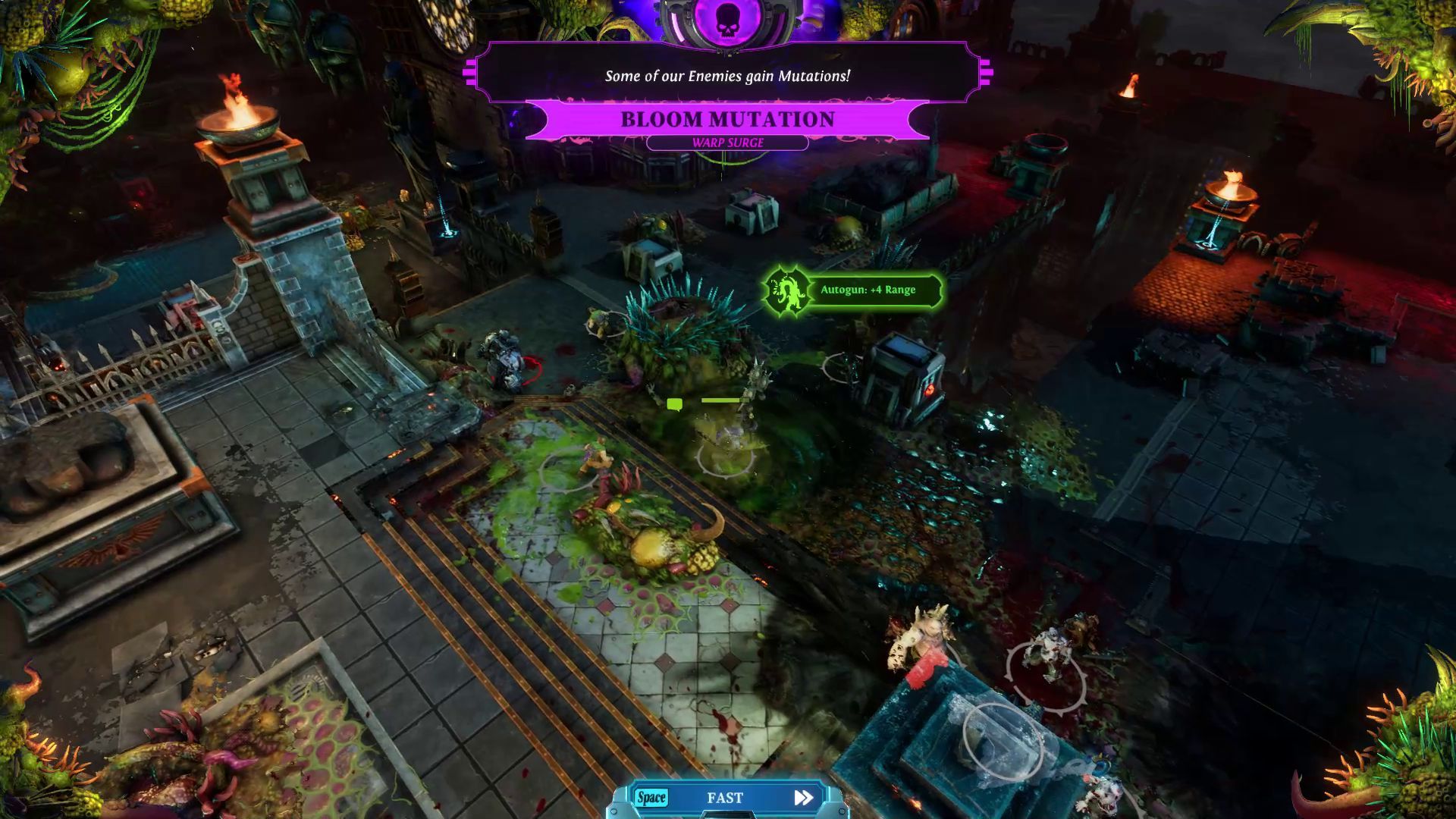 Warp Surge Bloom Mutation