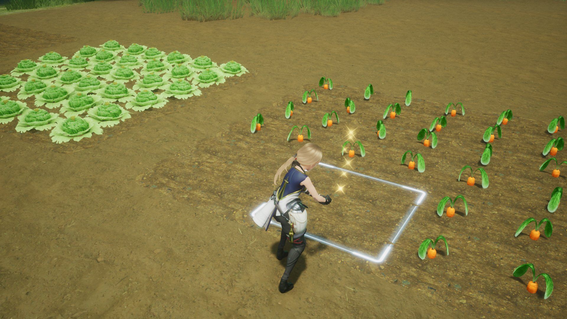 Harvest Crops