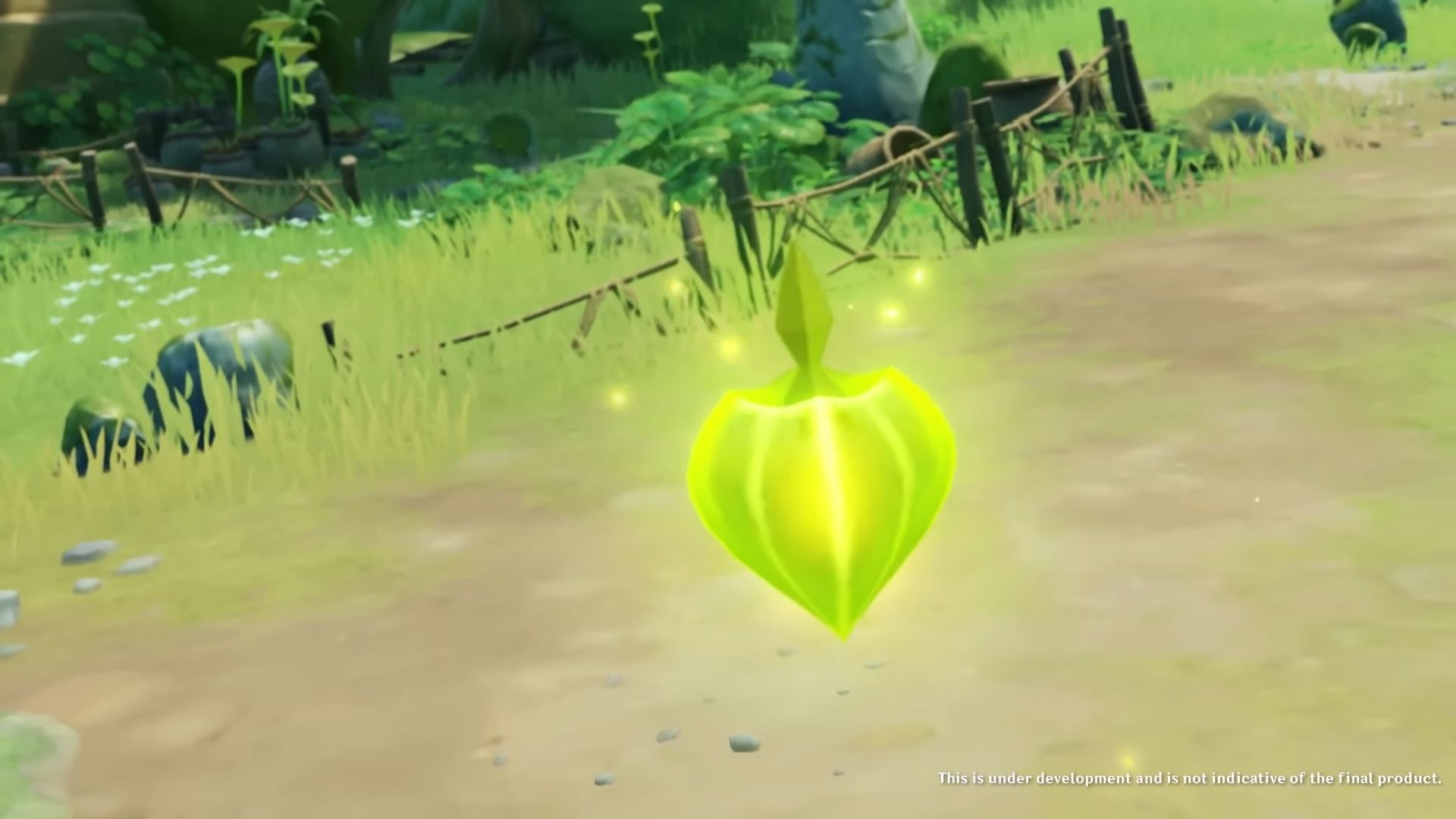 New Bloom Seed