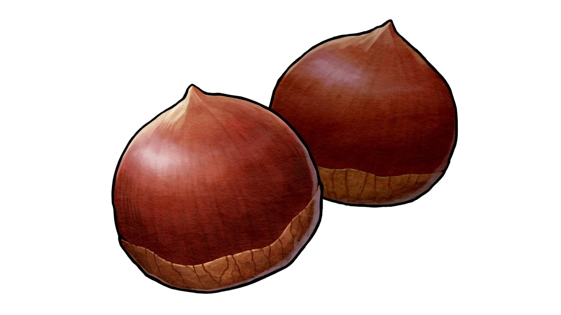 Harvestella Princess Chestnut