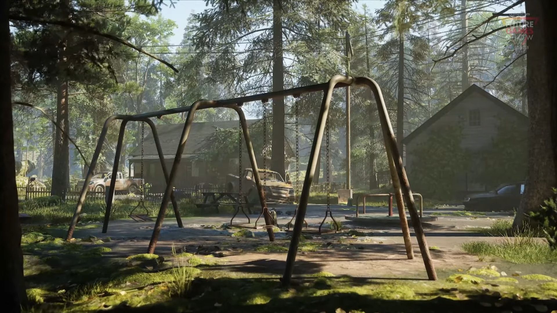 Rooted - Empty Parks