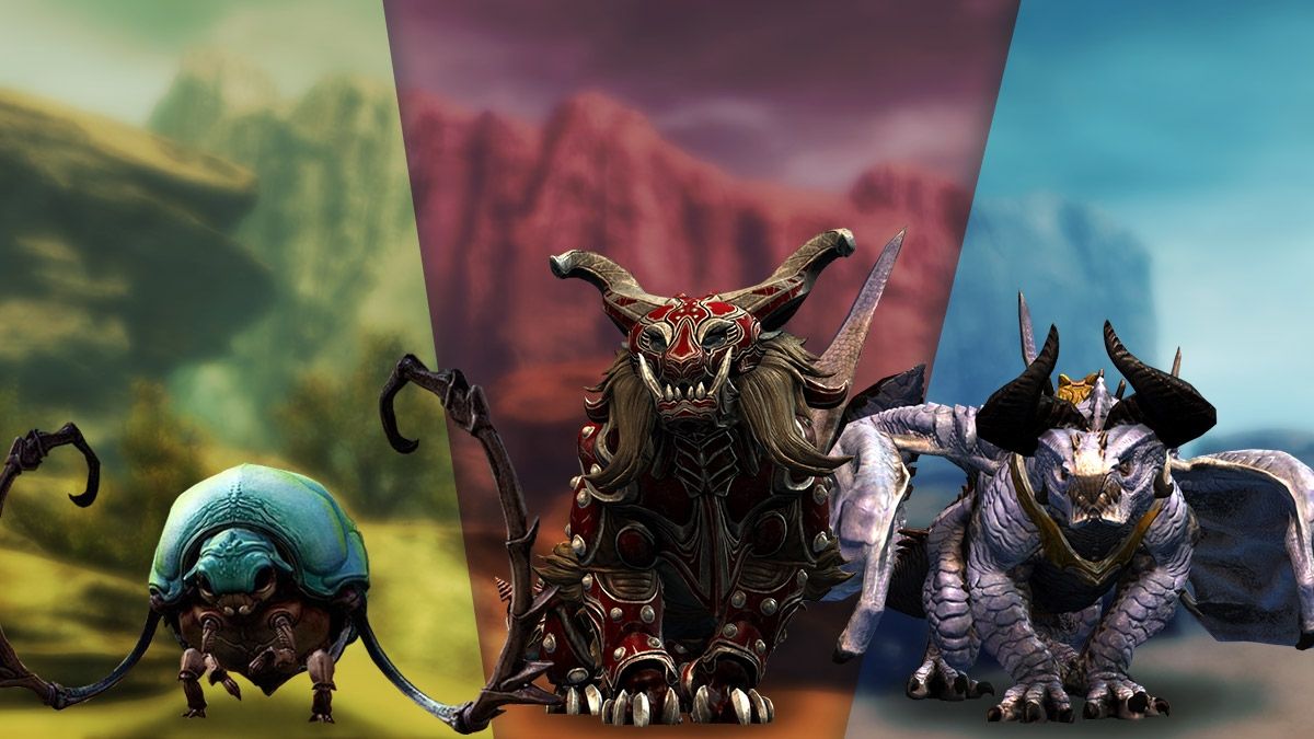 Various Mounts of Guild Wars 2