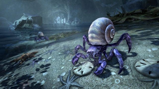 A Crab Pet for Your Troubles