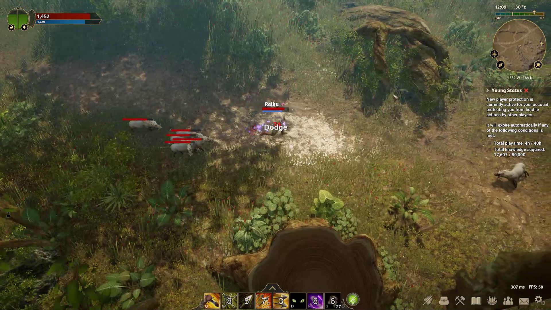 Dodge in Combat