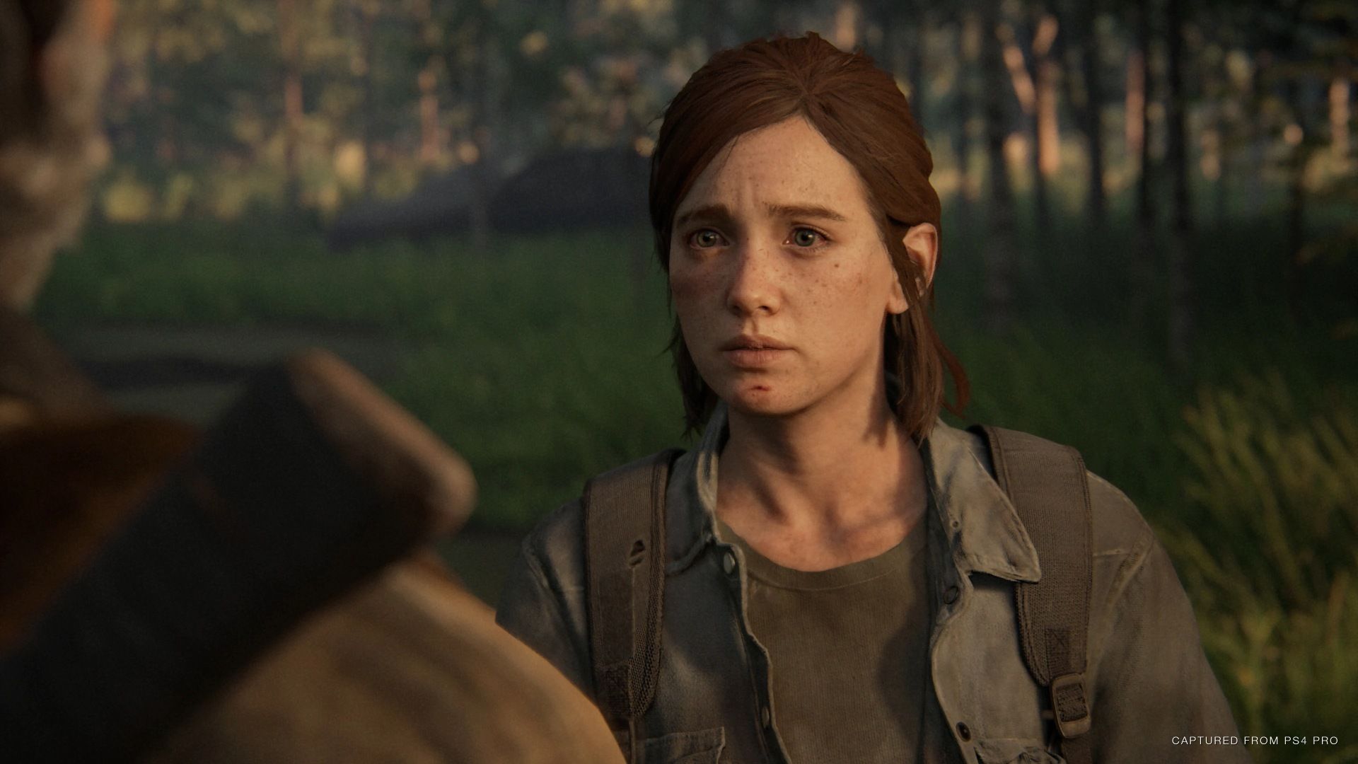 The Last of Us II Sale