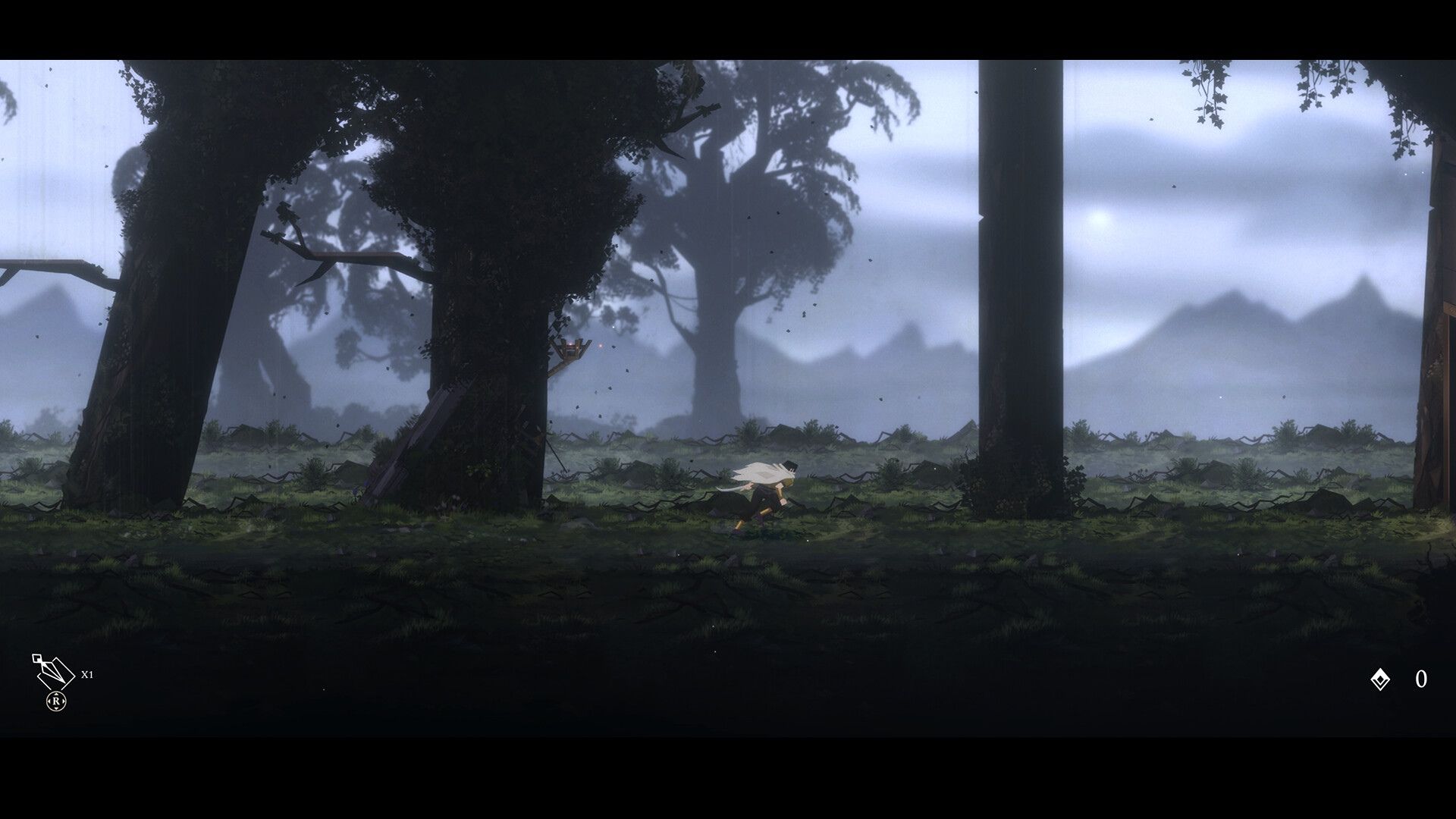 A Misty Forest Awaits