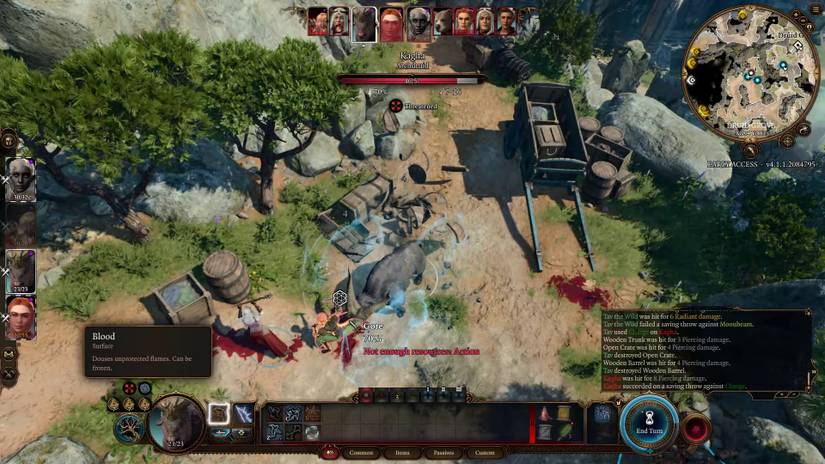 Baldur’s Gate 3 Circle of the Land Druid Build Guide