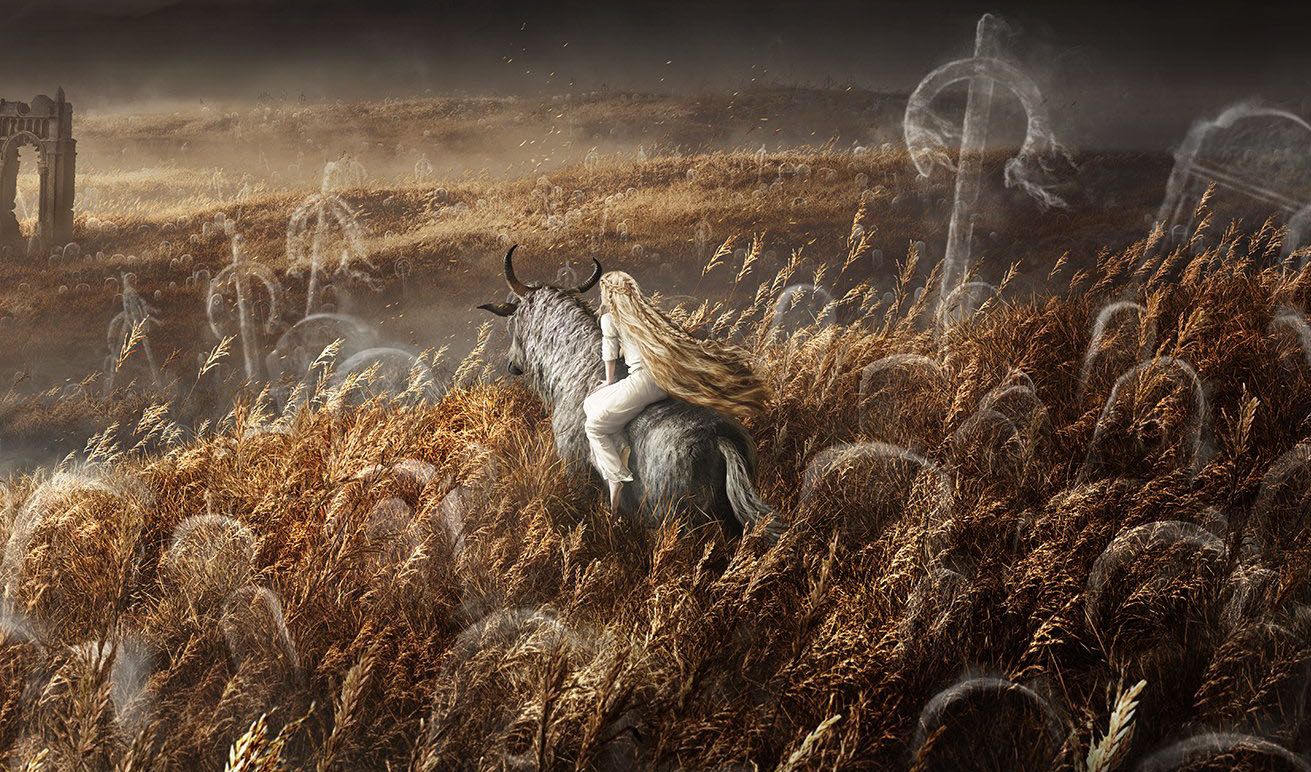 Elden Ring Expansion Shadow of the Erdtree Announced