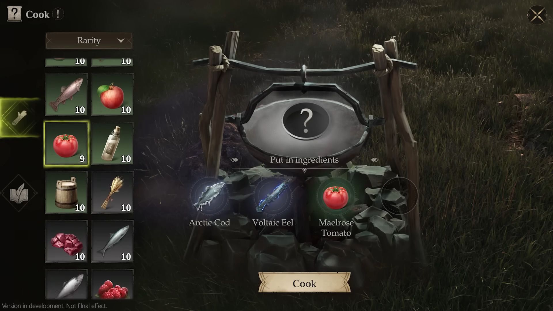 Of Course DragonHeir Will Have Cooking and Crafting!