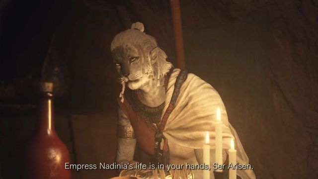 Dragon&rsquo;s Dogma 2 - New Feline Race