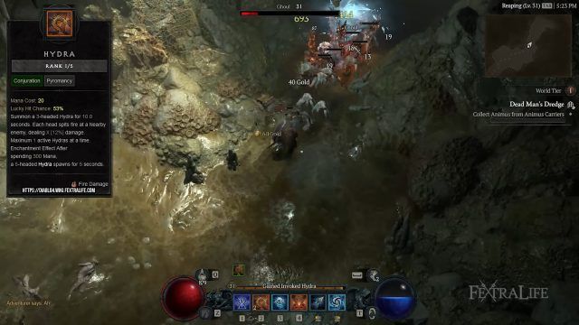 Fire &amp; Ice Diablo 4 Sorcerer Build with Hydra to Deal Extra Damage