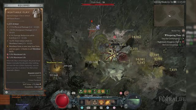 Permabear Insatiable Fury to Gain Ranks to All Werebear Skills