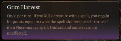 Baldur’s Gate 3 Wizard Class Guide