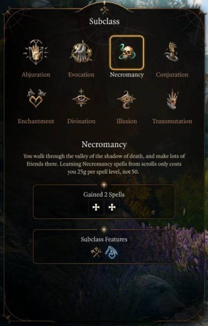 Baldur’s Gate 3 Wizard Class Guide