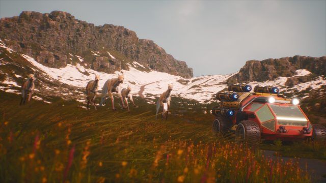 The Signal 4