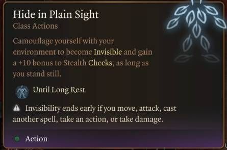 Baldur&rsquo;s Gate 3 Class Guide Ranger - Hide in Plain Sight Class Action
