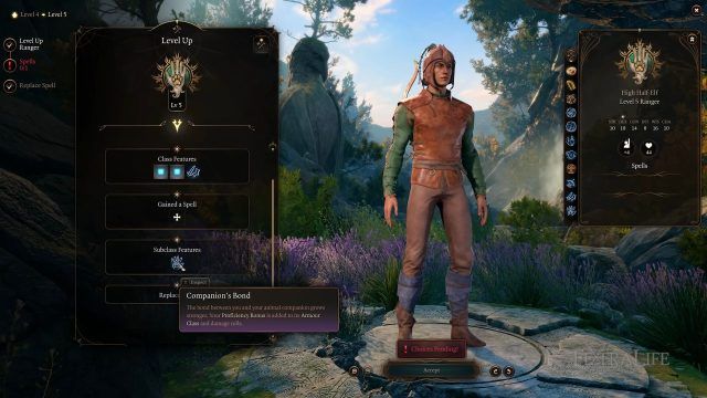 Baldur&rsquo;s Gate 3 - Companion&rsquo;s Bond