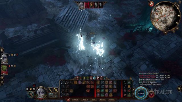 Baldur&rsquo;s Gate 3 - Druid Against Darkness