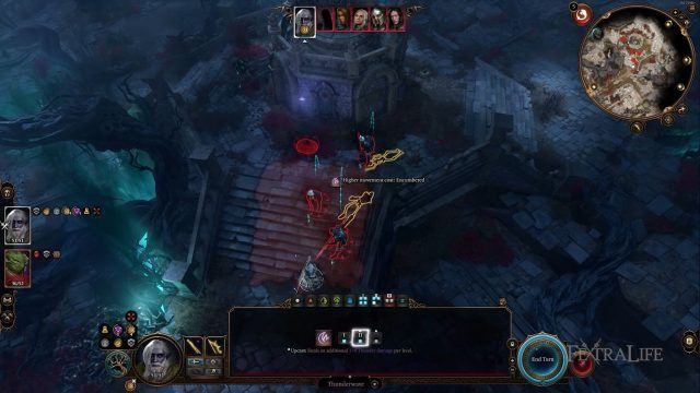 BG3 - Druid Monk Combat