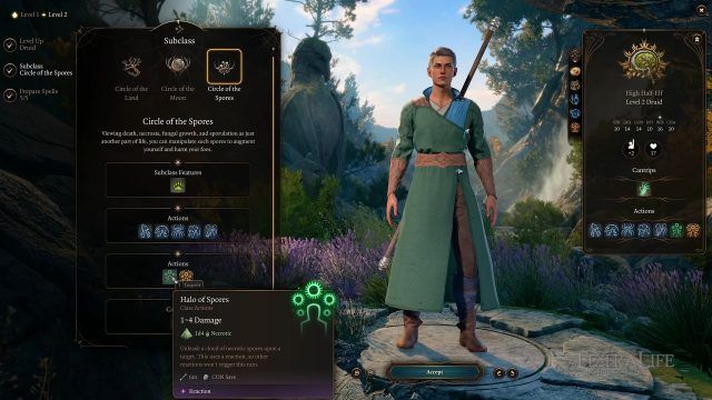 Baldur&rsquo;s Gate 3 Best Beginner Druid Builds