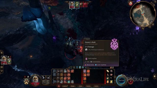 BG3 - Ranger Monk Combat